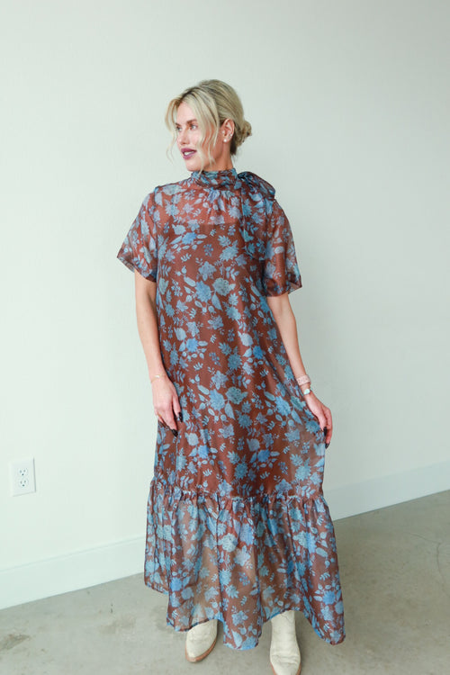 Brown & Blue Dress