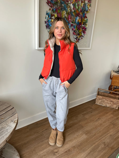 Reversible Vest